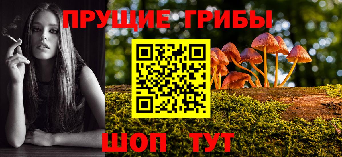 Галлюциногенные грибы мицелий  Вход с VPN  Киселёвск 