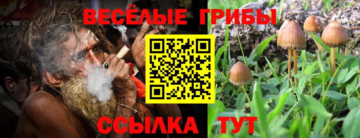 Псилоцибиновые грибы MAGIC MUSHROOMS Киселёвск